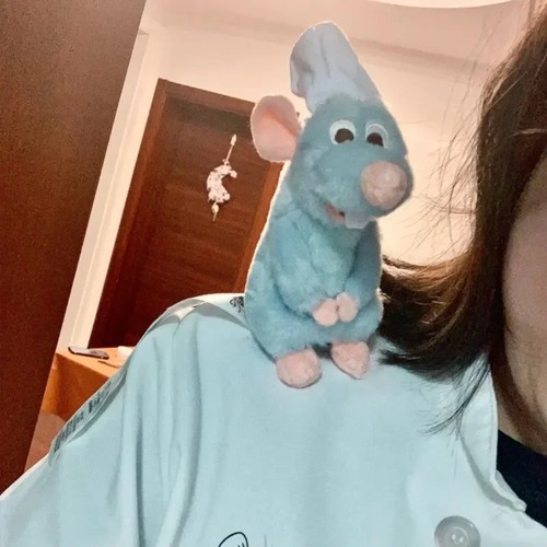 Ratatouille magnetic doll toys - magnetic,
